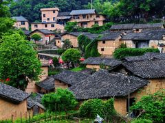 -杨家堂村