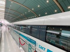 -龙阳路磁悬浮列车总站-停车场