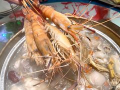 -千岛蚝高压锅生蚝·人参火锅(白云万达店)