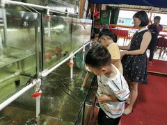 店家还给小朋友捞网玩捞鱼-罗源湾8号渔排