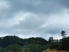 -绿城千岛湖喜来登度假酒店