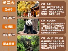 -阿露佳·舌尖上的安吉菜