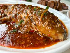 -陈麻婆豆腐总店