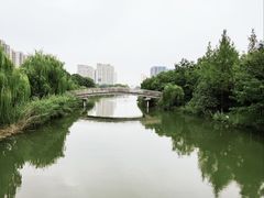 -南翔镇银翔湖公园