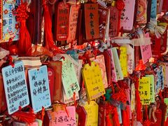 -香山公园