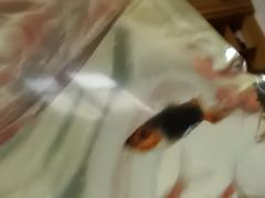 -中环花鸟鱼虫市场