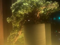 -江南足纪·影院足道·轻奢SPA(笋岗HALO广场店)