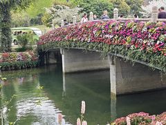 -苏州上方山国家森林公园