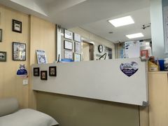 -申普宠物医院·心脏介入·心血管微创(总院)