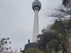 -龟山风景区-龟山电视塔