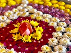 -四季酒店下午茶