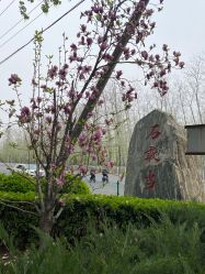 -大望京儿童游乐场