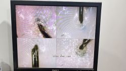 -章光101防脱养发荟