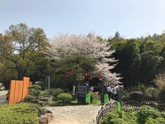 -穹窿山景区