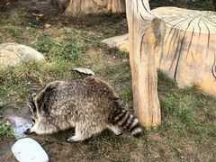 -大连森林动物园