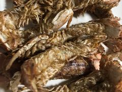 -兆辉木炭海鲜烧烤·海鲜小炒