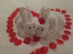 涵田度假村酒店-天目湖涵田度假村