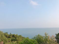 -广东惠东海龟国家级自然保护区