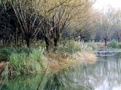 -昆山城市生态森林公园