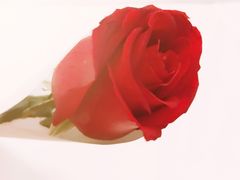 -维也纳国际酒店(深圳新洲店)