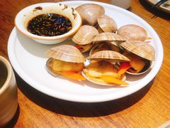 白灼丹东白蚬子-必点海鲜·鲅鱼水饺(鞍山西道店)