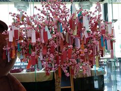 -台山颐和温泉城