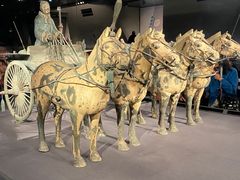 -秦始皇帝陵博物院-丽山园