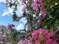 -长沙市青少年宫