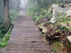 -终南山国家森林公园