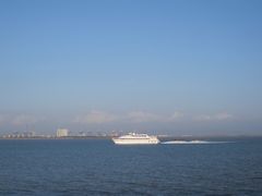 -大湾区中央湿地公园