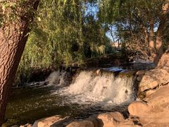 -长白岛森林公园