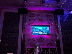 -奥斯汀KTV(金湖店)