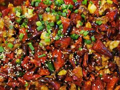 -嘎嘎鸭脑壳江湖菜(五里店)