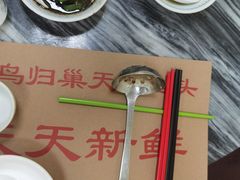 -百鸟归巢天麻鱼头(远洋城店)