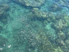 -三亚西岛海洋文化旅游区