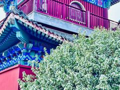 -天津妈祖文化园