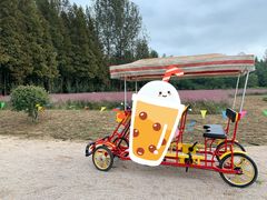 -日照海滨国家森林公园
