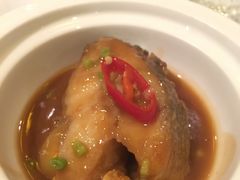 黄鱼年糕-西郊5号·Maggie 5