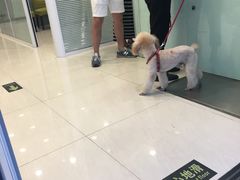 -悦宠凯宝动物医院·牙科·皮肤科(朝阳北路店)
