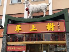 门面-羊上树(南门外店)