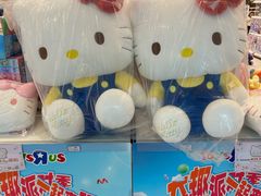 -TOYSRUS玩具反斗城(武汉荟聚中心店)