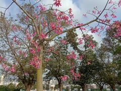 -暨南大学(珠海校区)