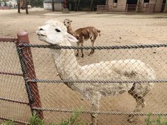 -大连森林动物园