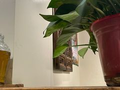 -茶花妹子云南餐厅(传媒大学店)