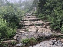 -阳台山自然风景区