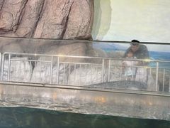 -福州罗源湾海洋世界旅游区