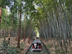 -同里国家湿地公园
