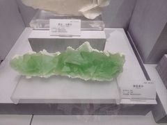 -湖南省地质博物馆