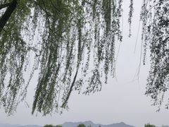 -洨河生态公园
