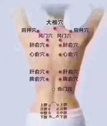 -香薇妮丝·定制减肥·身材管理